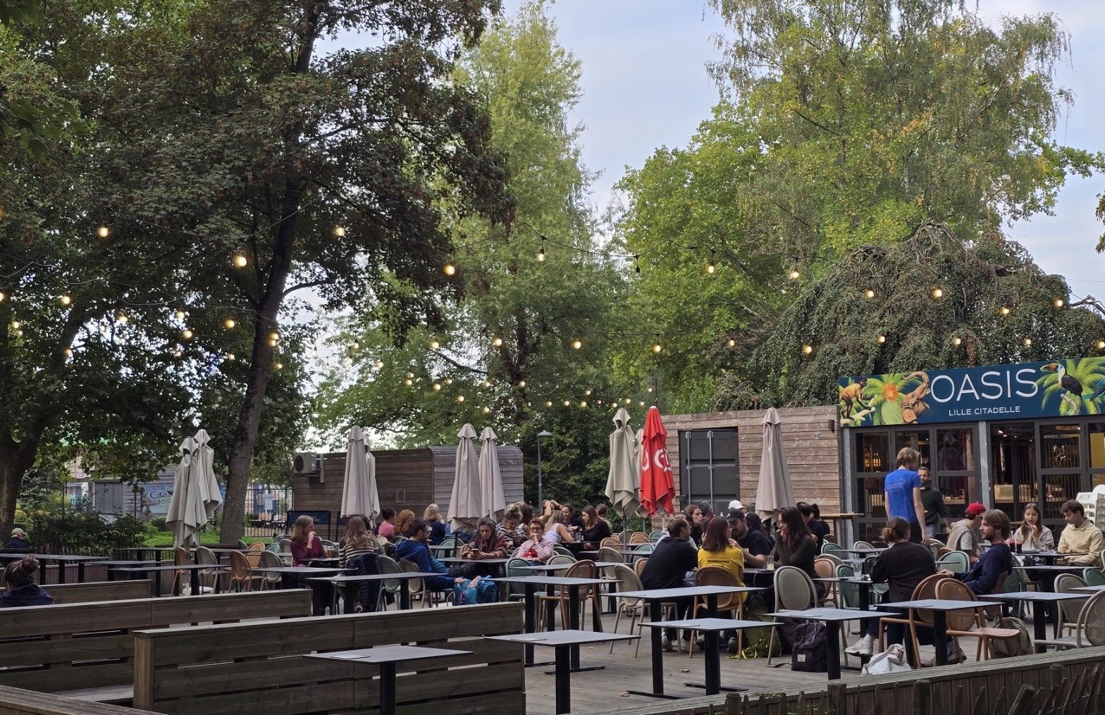 La terrasse de l'Oasis Lille Citadelle sous les arbres, avec ses guirlandes lumineuses